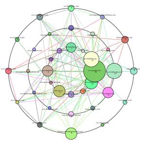 Search engine optimization web marketing